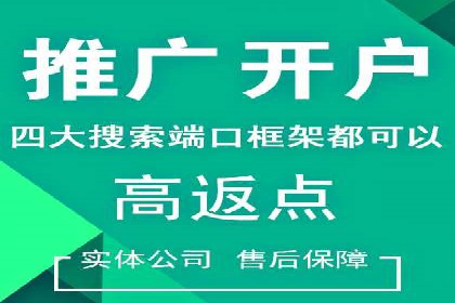 案例分享：竞价代运营助力企业增长